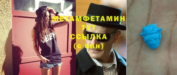 стаф Осинники