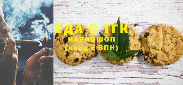хмурый Алексин