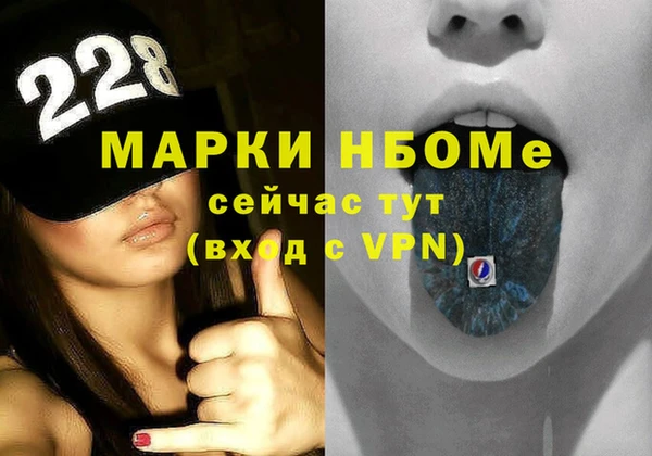 хмурый Алексин