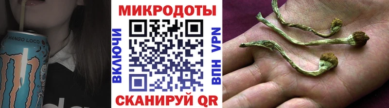 блэк спрут вход  Усолье-Сибирское  Псилоцибиновые грибы GOLDEN TEACHER 