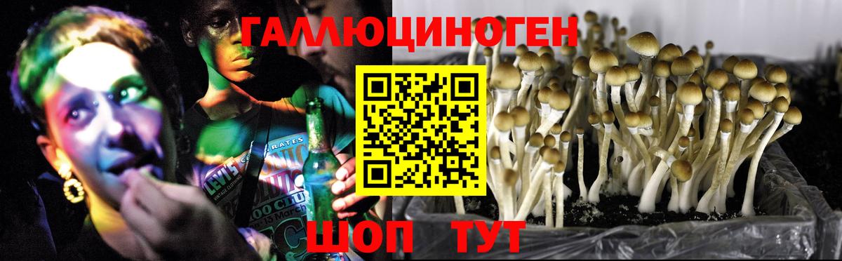 Галлюциногенные грибы прущие грибы Усолье-Сибирское